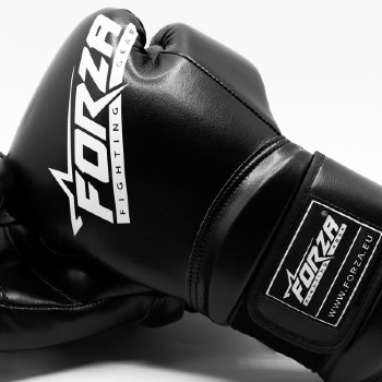 Forza fighting gear boxing gloves